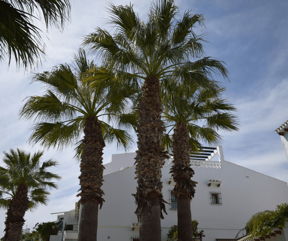 Warum lohnt es sich, in Immobilien in Spanien zu investieren?